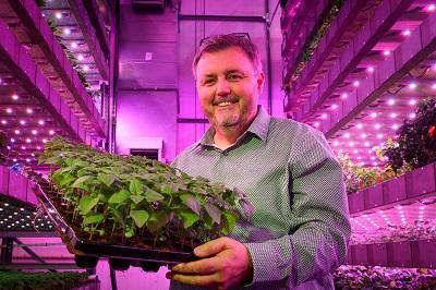£800k Government Grant for Broccoli Protein Upcycling Consortium