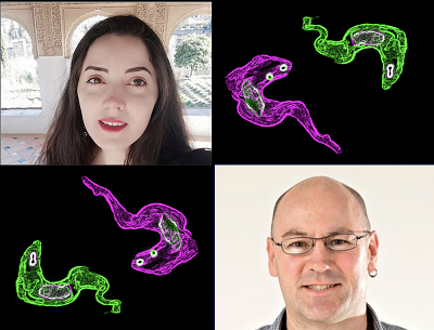 Parasite defence mechanism de-coded by Dundee research team