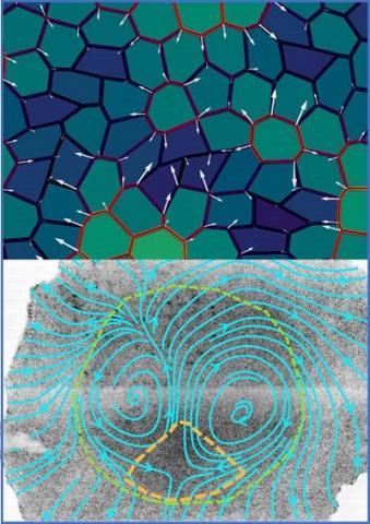 Dundee researchers aim to unlock the physics of life