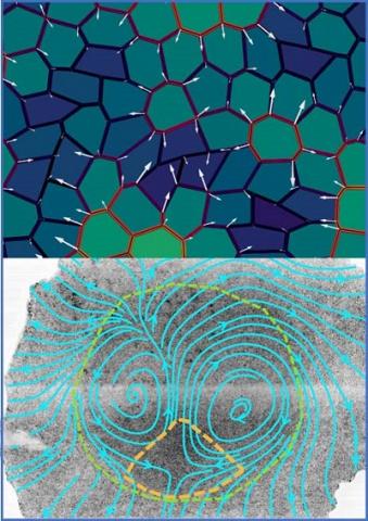 Dundee researchers aim to unlock the physics of life