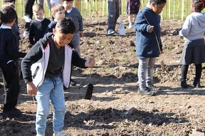 Wee Forests to make a big impact on Dundee community