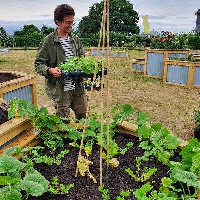 Summer events launch Dundee’s new edible garden  