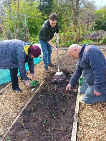 Volunteers planting in the Ninewells Community Garden