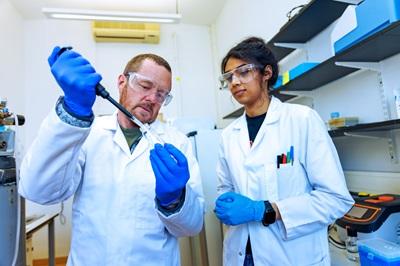 Researchers